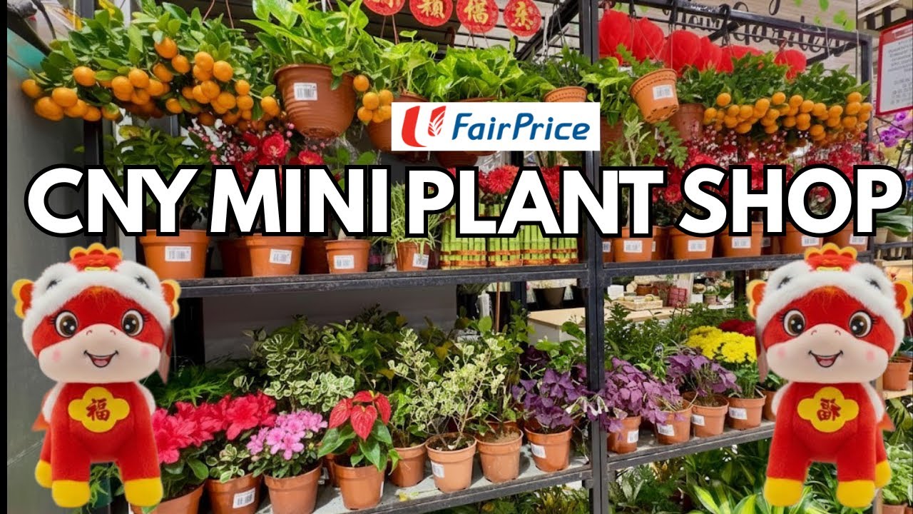🐎 Tour Of Chinese New Year Plants Flowers And Decorations | The Supermarket Mini Plant Shop