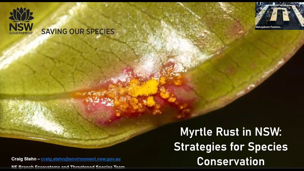 Craig Stehn - Myrtle rust in NSW: Strategies for species conservation