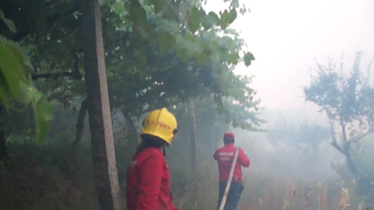 Incêndio em Bustelo do Caima, Ossela