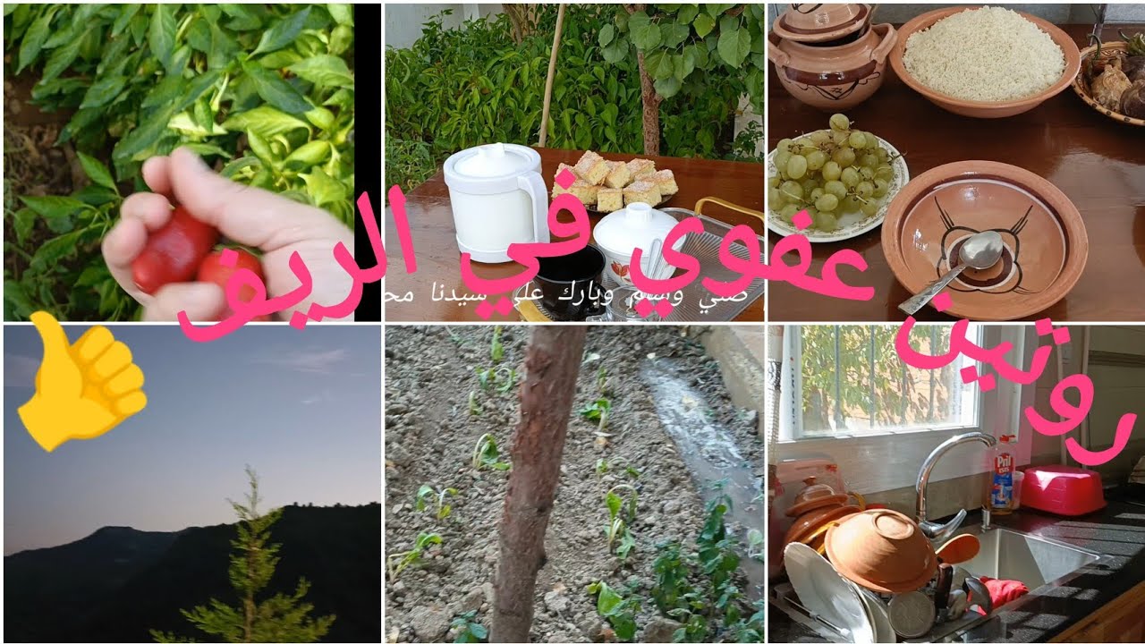 شاركت معاكم بكل عفوية واش درت نهار كامل في الريف👍 روتين 💯طاقة ايجابية وراحة نفسية👌واش اغرست🌿طيبت لغد