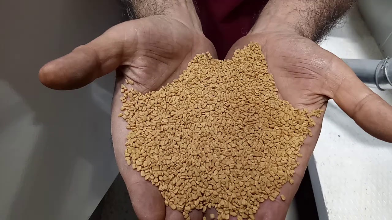 India Pune Fenugreek Seed Cleaning Plant