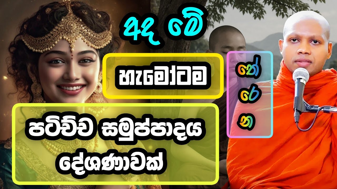 පටිච්ච සමුප්පාදය පිළිබද | හසලක සීලවිමල හිමි | Hasalaka Seelawimala | #hasalakaseelawimalathero
