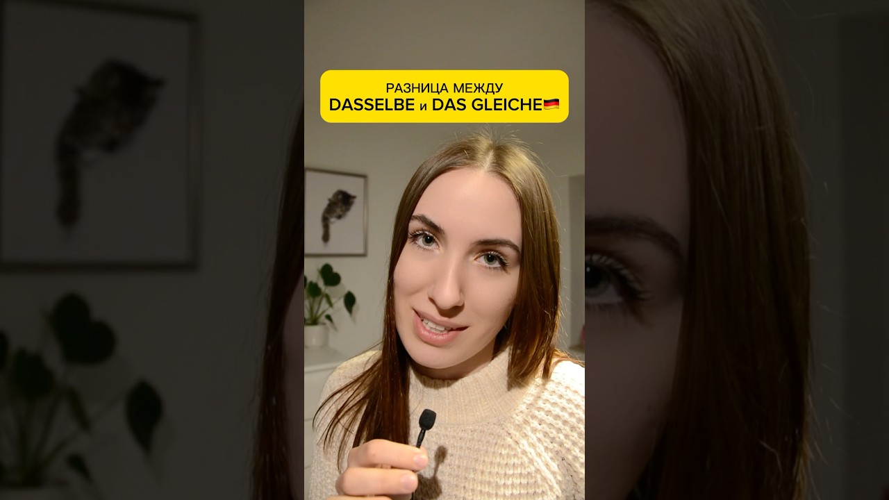 DASSELBE и DAS GLEICHE🇩🇪 #deutsch #deutschkurs #немецкий #немецкийязык #німецькамова