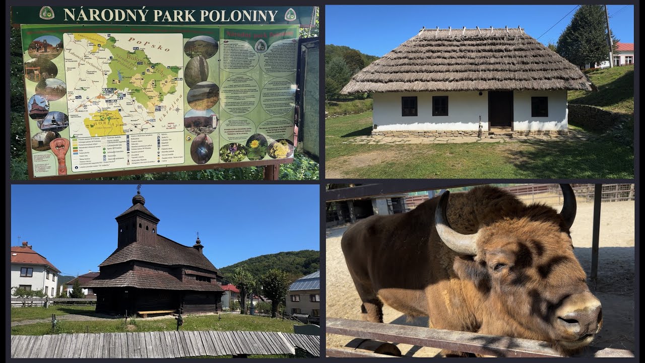 #104 Národný park Poloniny | Nová Sedlica | Ulič | Snina | SV | Slovensko | Slovakia | SVK | SK