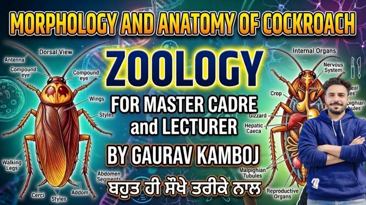 MORPHOLOGY OF COCKROACH I ZOOLOGY  MASTER CADRE AND LECTURER CADRE TGT PGT NVS  BY GOURAV KAMBOJ SIR