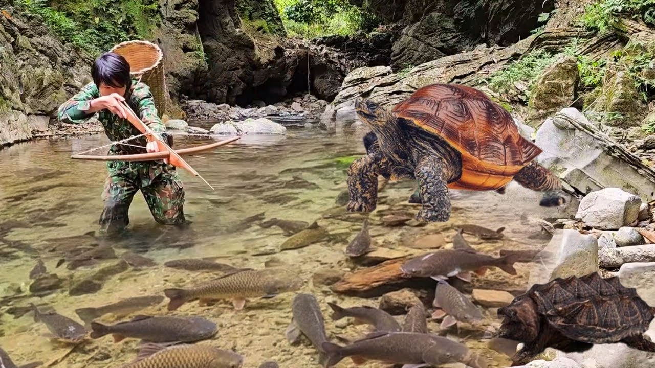 Tracking Wild Animal Signs, Stream Fishing & Foraging Life in the Deep Green Forest
