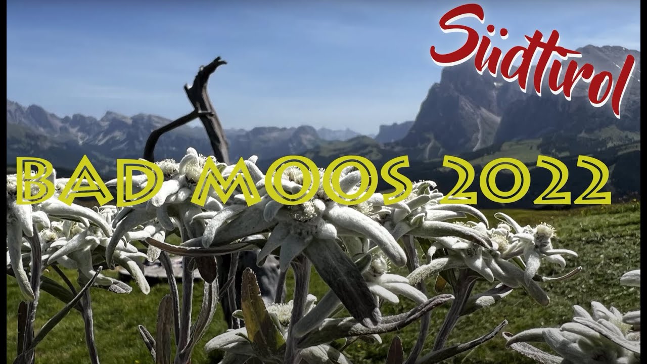Bad Moos Dolomiten Spa & Resort 2022 4K