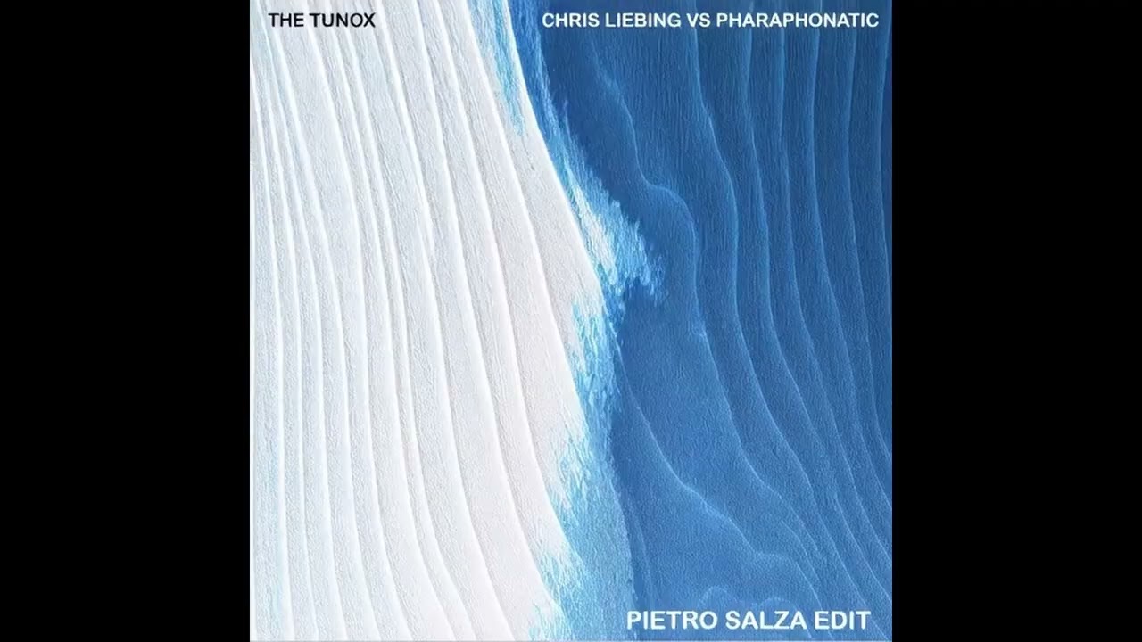 Chris Liebing & Speedy J vs Paraphonatic - The Tunox (PIETRO SALZA EDIT)