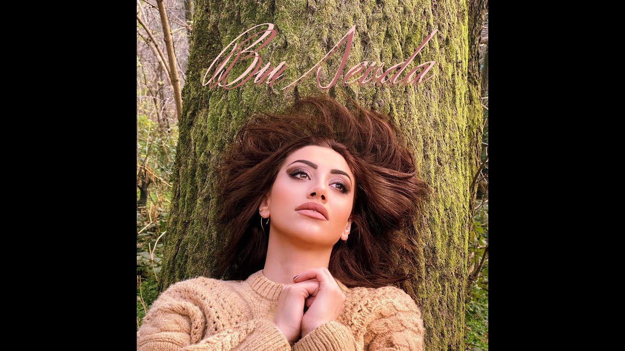 Nur Usta (feat.Faik Kayış) - Bu Sevda