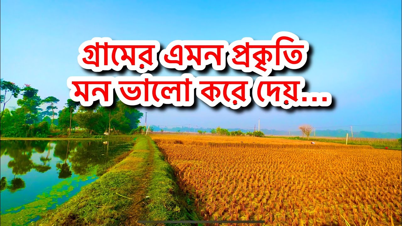 4k- Natural beauty of Bangladesh in winter