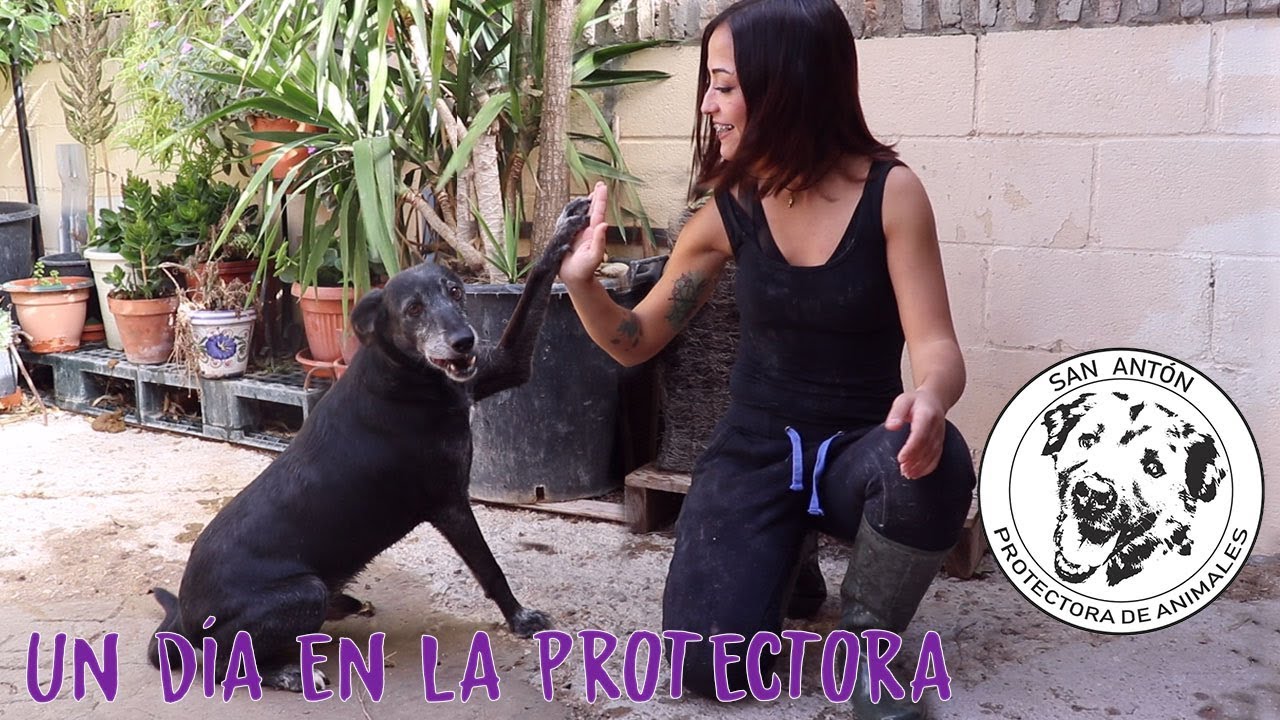 ¡UN DIA CONMIGO EN LA PROTECTORA SAN ANTON!