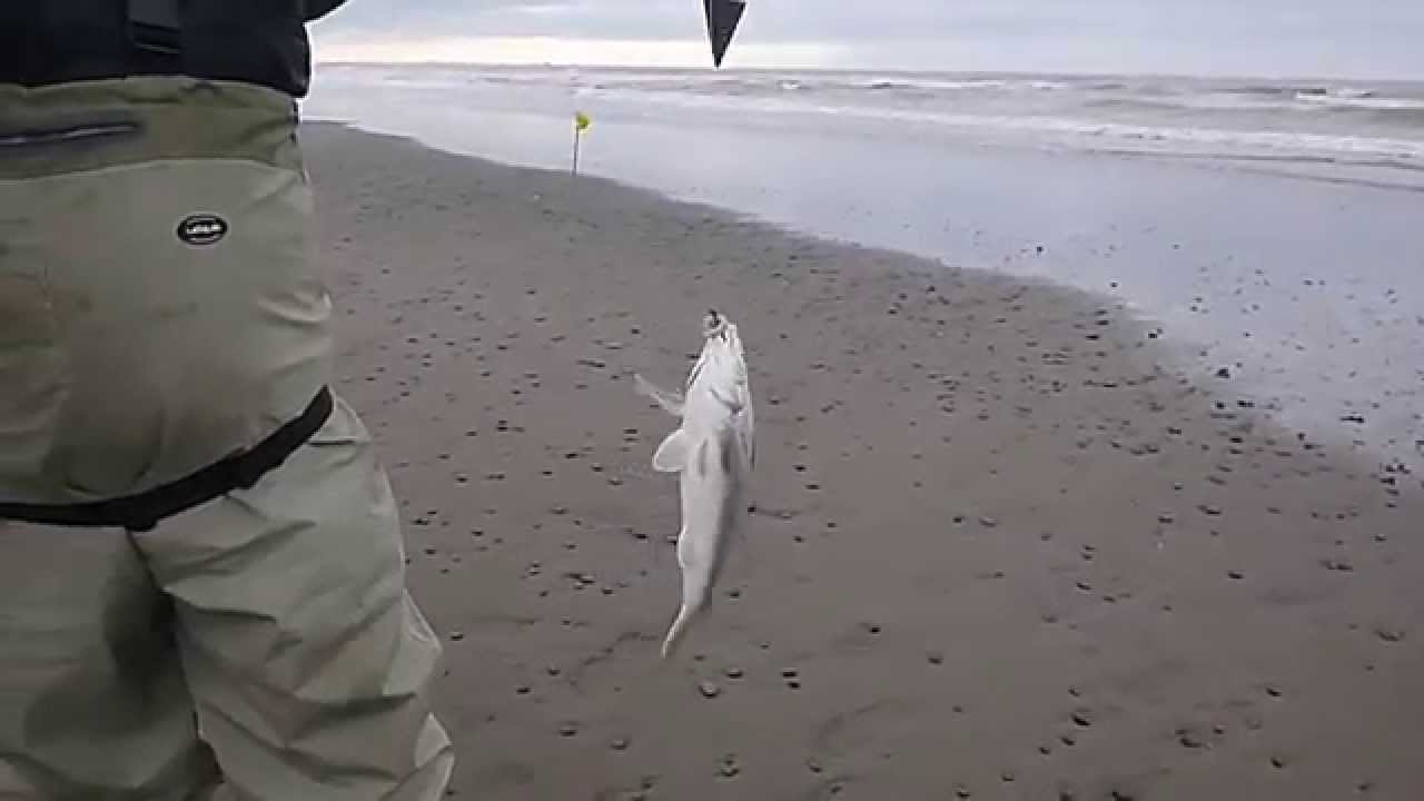 Pesca de Panzones, Escardones y Variada en Punta Rubia 11 de Julio de 2014