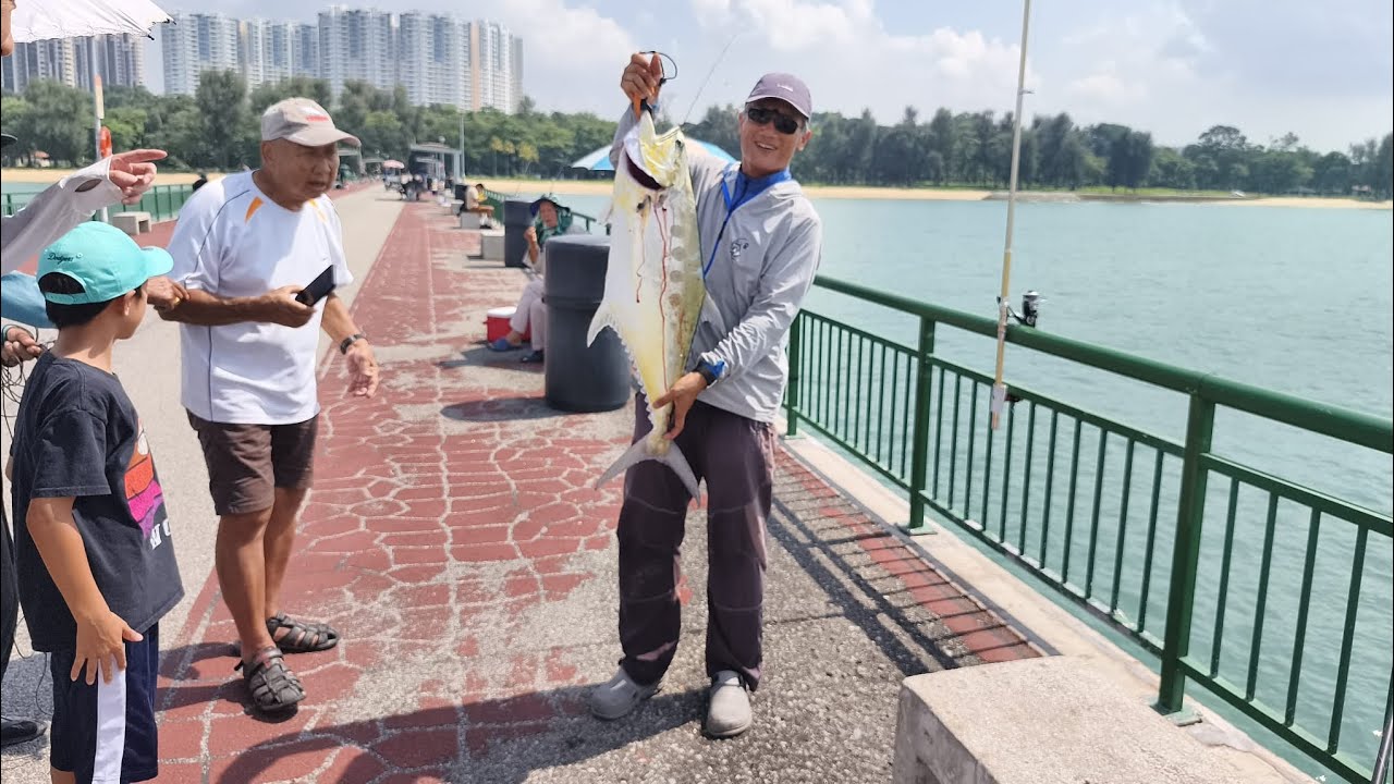 Bedok Jetty, Epic Battle, 7.1kg Queenfish. Cable Car Rig
