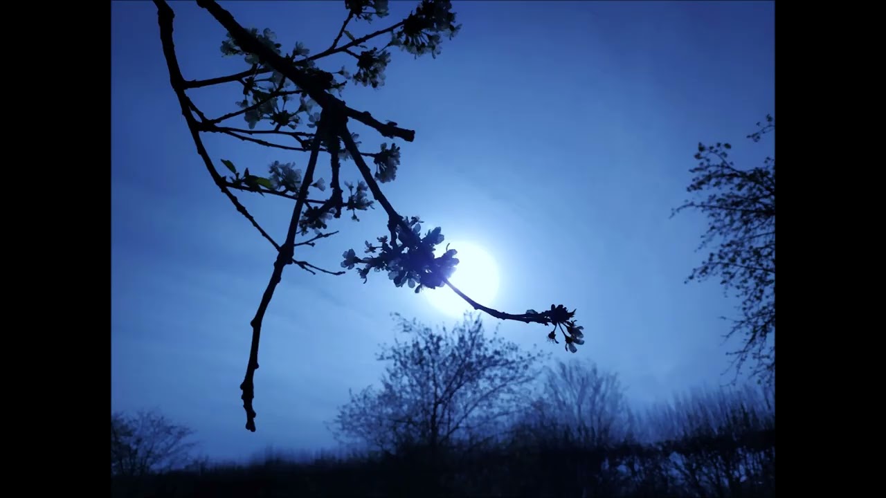 Zoltan Freitag - For a Thousand Years