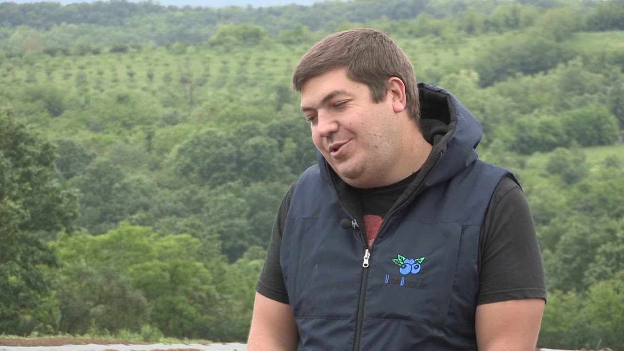 Imamo rešenje ep.17 10.06.2019. - Isplativost gajenja borovnica