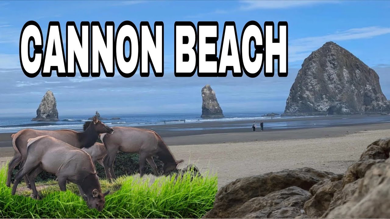 CANNON BEACH 
