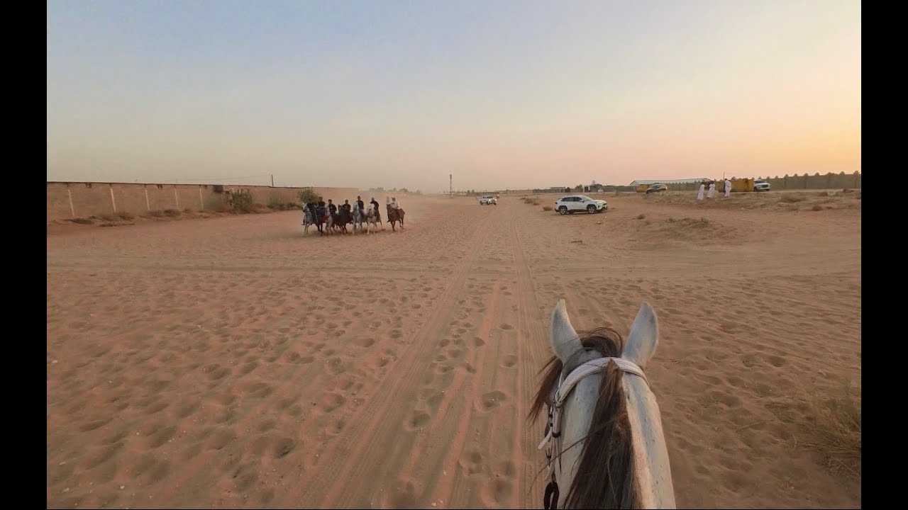 ركوب خيل في الجنادريه الشعيب