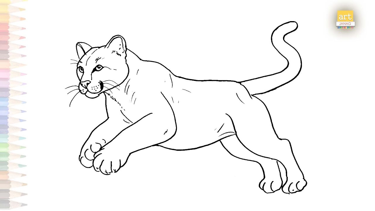 Cougar running drawing easy | Wild animal sketches | How to draw A Cougar step by step | #artjanag
