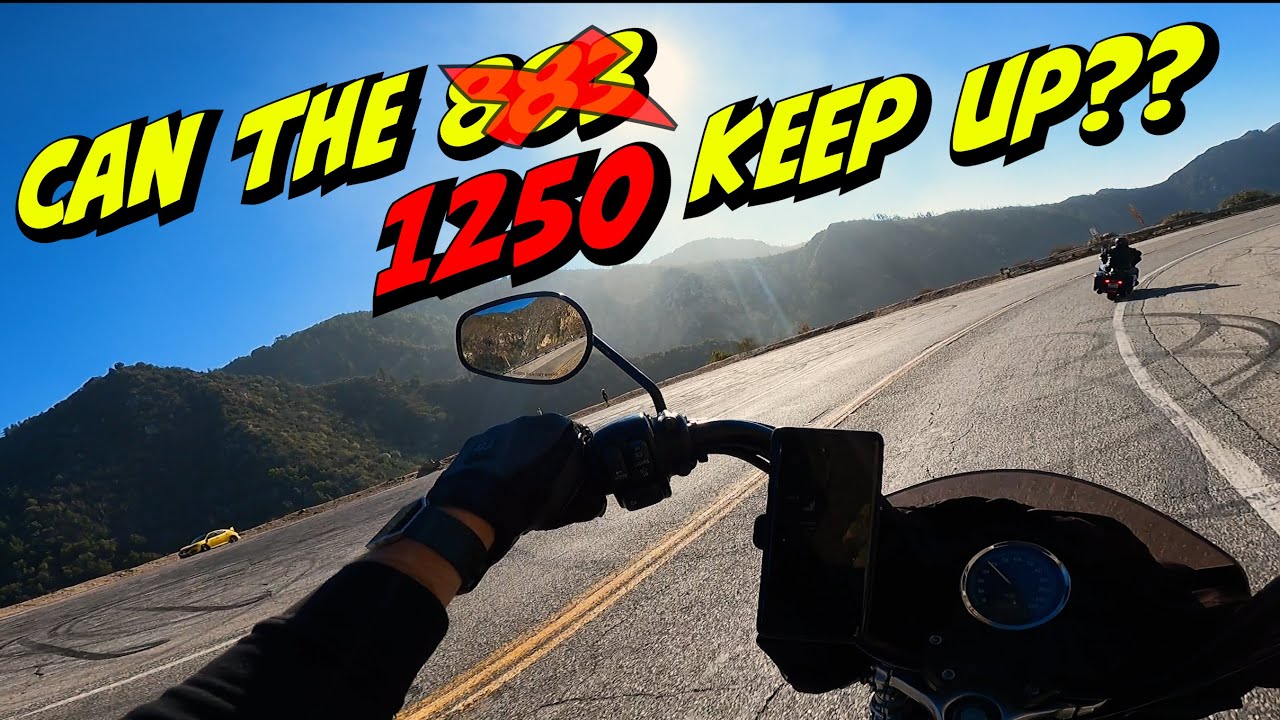 Can the new 1250 Sportster keep up with the big twins?!