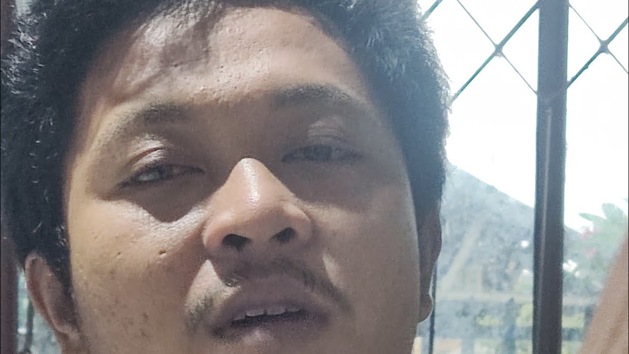 obral burung di malam Minggu