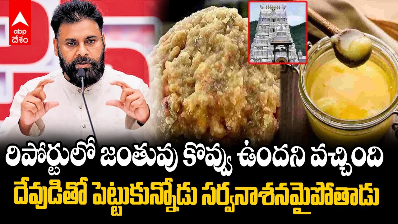 Pawan Kalyan on NDDB Report | తప్పు చేసిన వాళ్లని వదిలిపెట్టం..రాజకీయాల కోసం వాడలేదు | ABP Desam