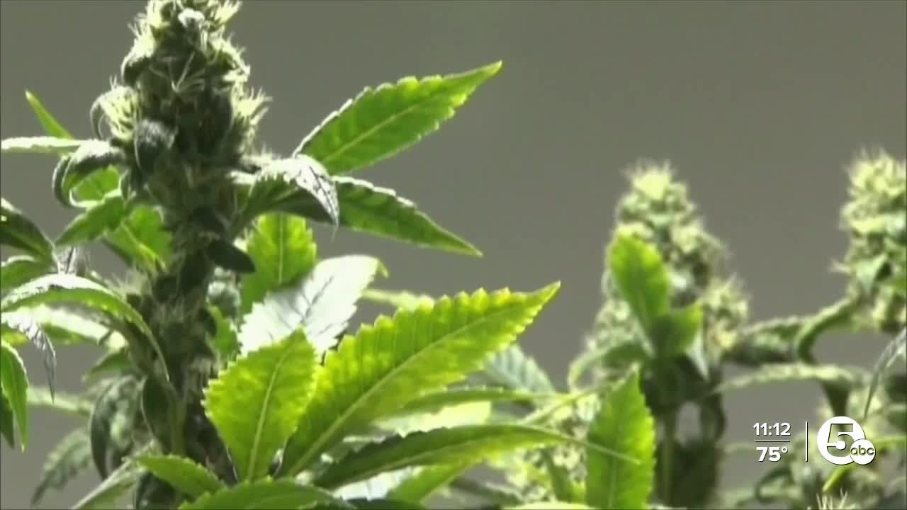 Pot heads ready to smoke that loud legally, don't give up hope, yet.