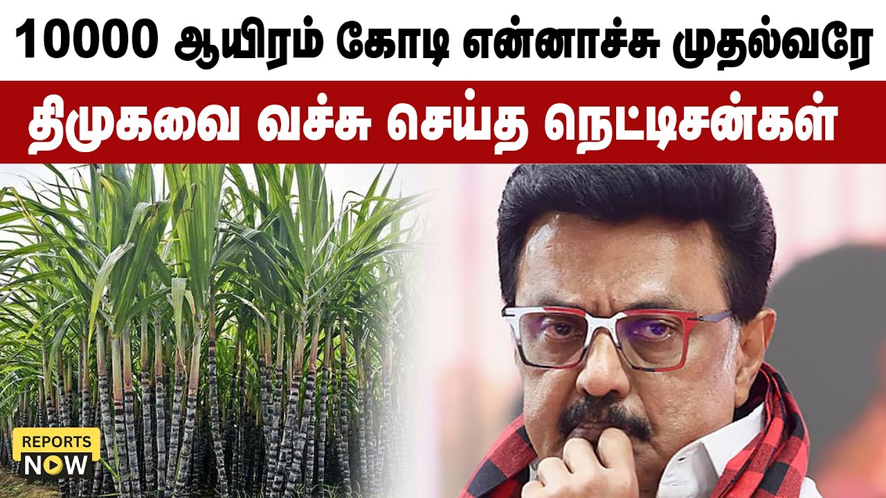10000 ஆயிரம் கோடி என்னாச்சு முதல்வரே | திமுகவை வச்சு செய்த நெட்டிசன்கள் | Reports Now