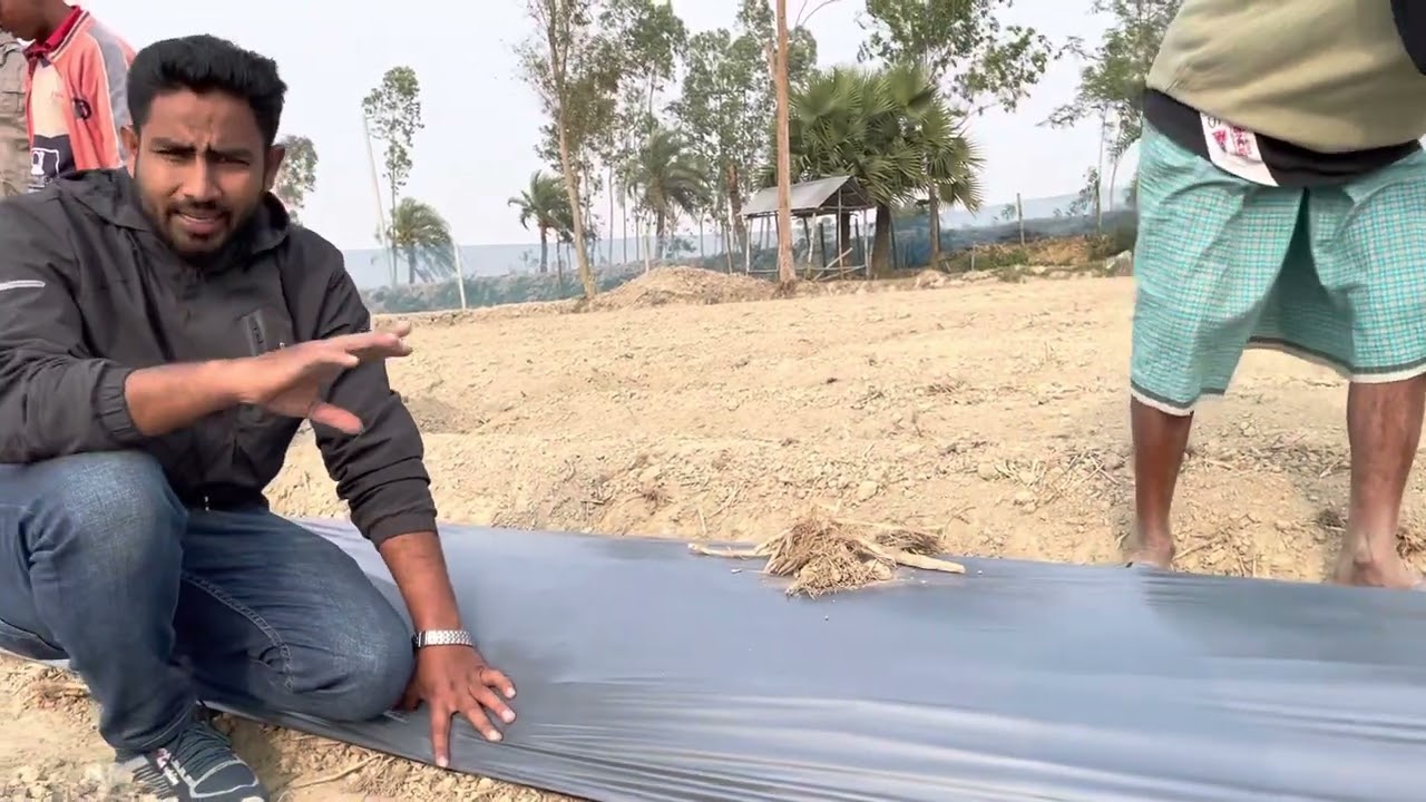 🥒🍉শসা, তরমুজ এর জন্য কোন মালচিং পেপার ভালো?