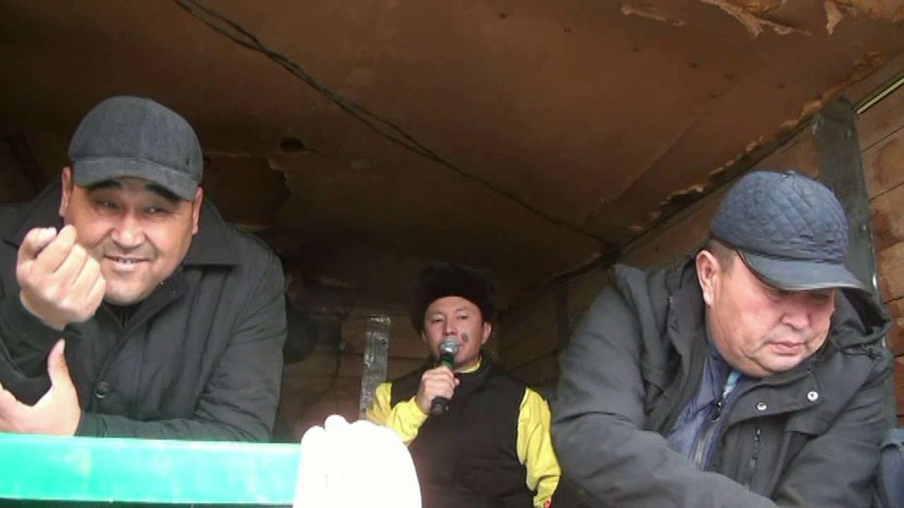 Көкпар Келес ауданы,Арыстановтар әулетінің рухтарға бағыштап бата алу көкпар тойы24.11.2018