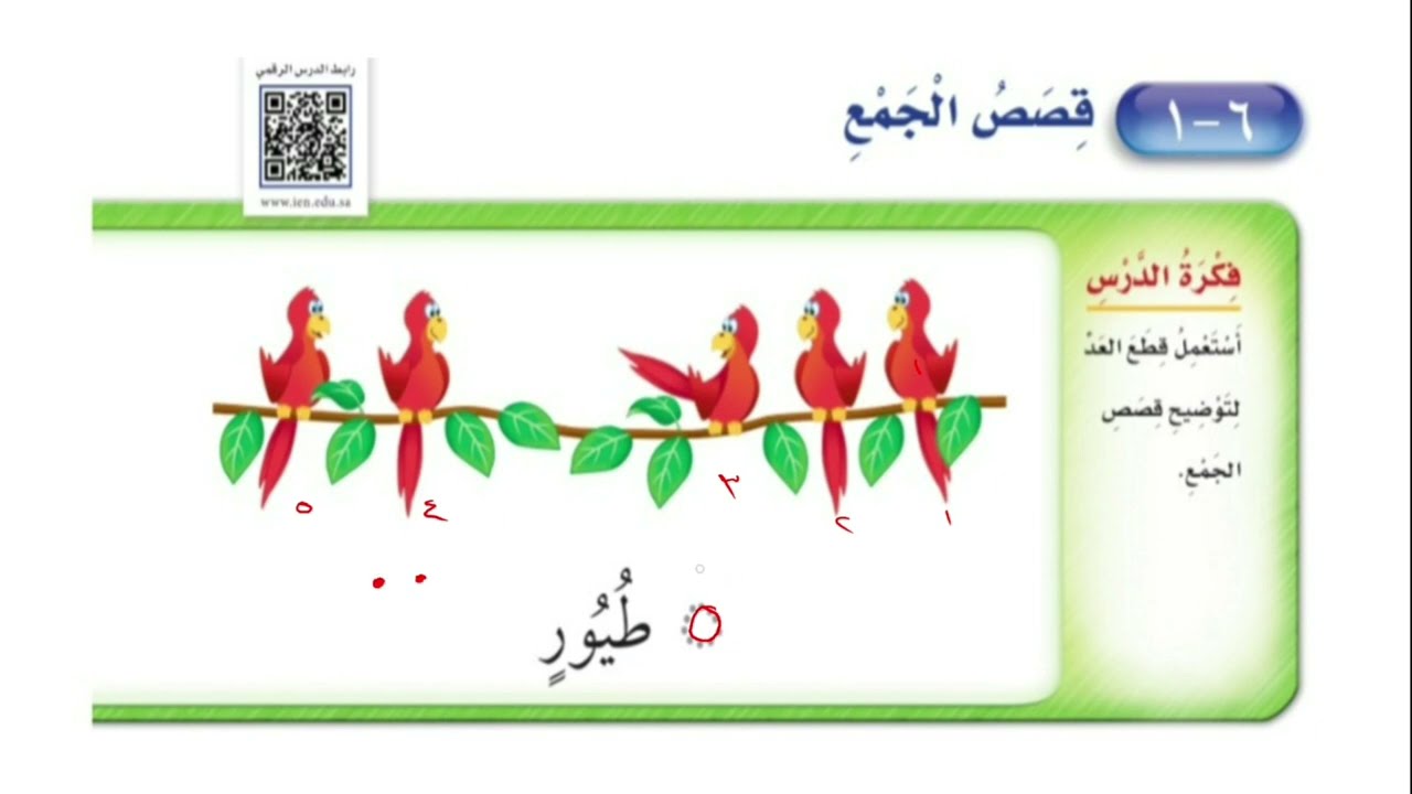 قصص الجمع | حل تمارين الكتاب | الصف الأول الإبتدائي