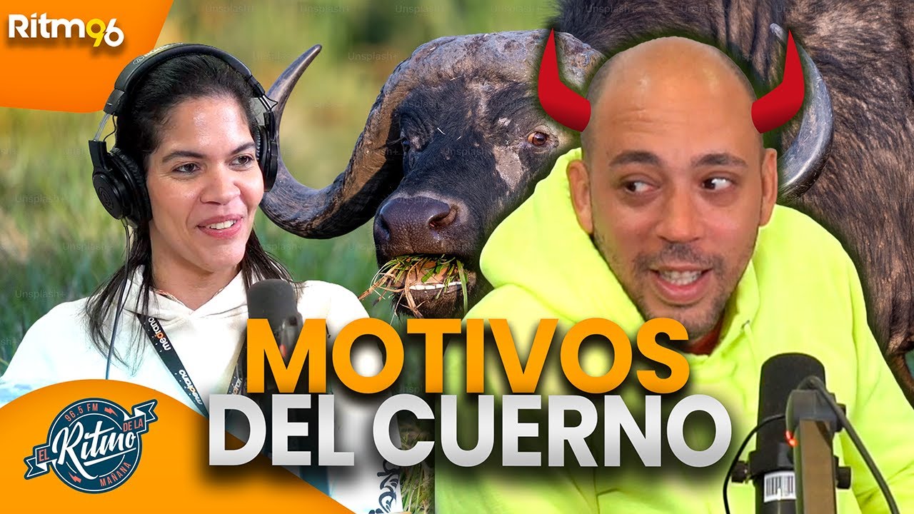 ¿Por qué pegaste ese ultimo cuerno?