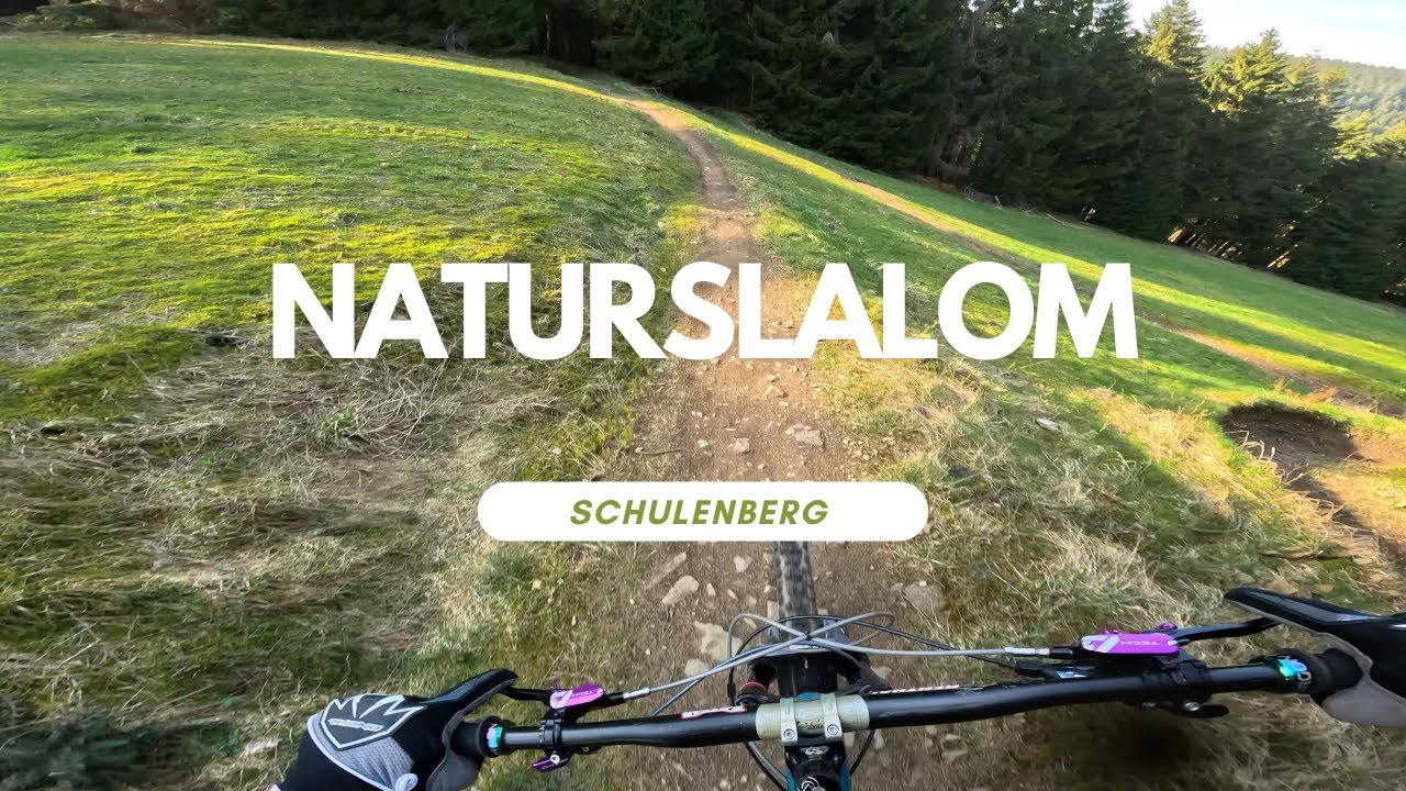 Naturslalom Flow Line 🔵  Bikepark Racepark Schulenberg Harz full run POV RAW