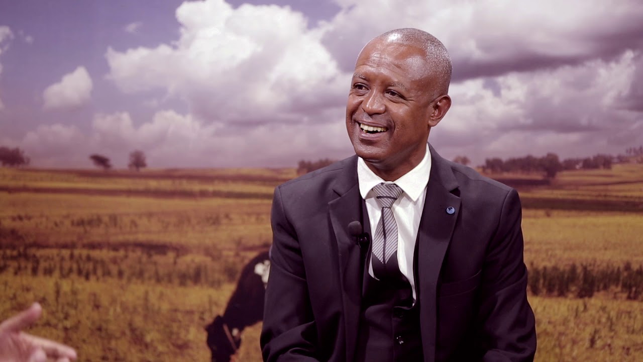 Tibeb Befana: ጥበብ በፋና በሰርግ ዙሪያ ከዌዲንግ ፕላነር አሸናፊ ዋሌ ጋር ክፍል 1