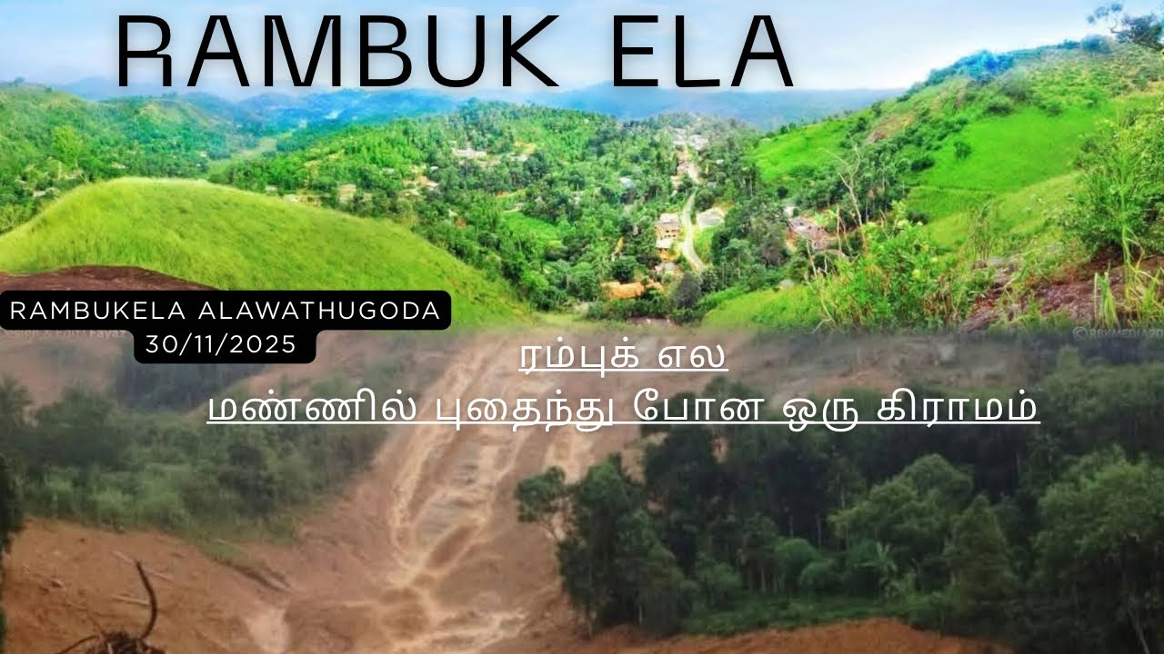 rambuk ela