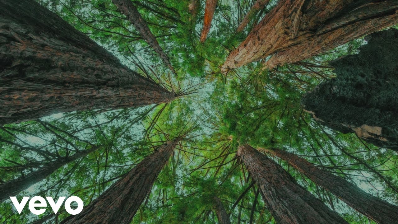 slenderbodies - hearth (Official Audio)