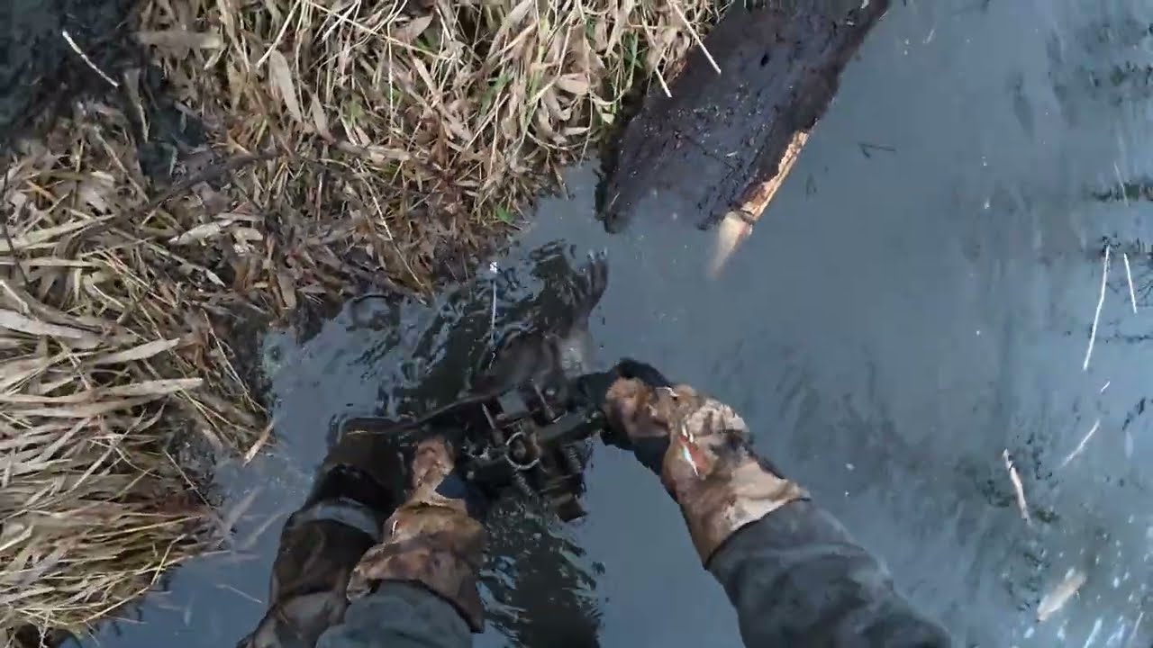 BEAVER TRAPPING INDIANA!