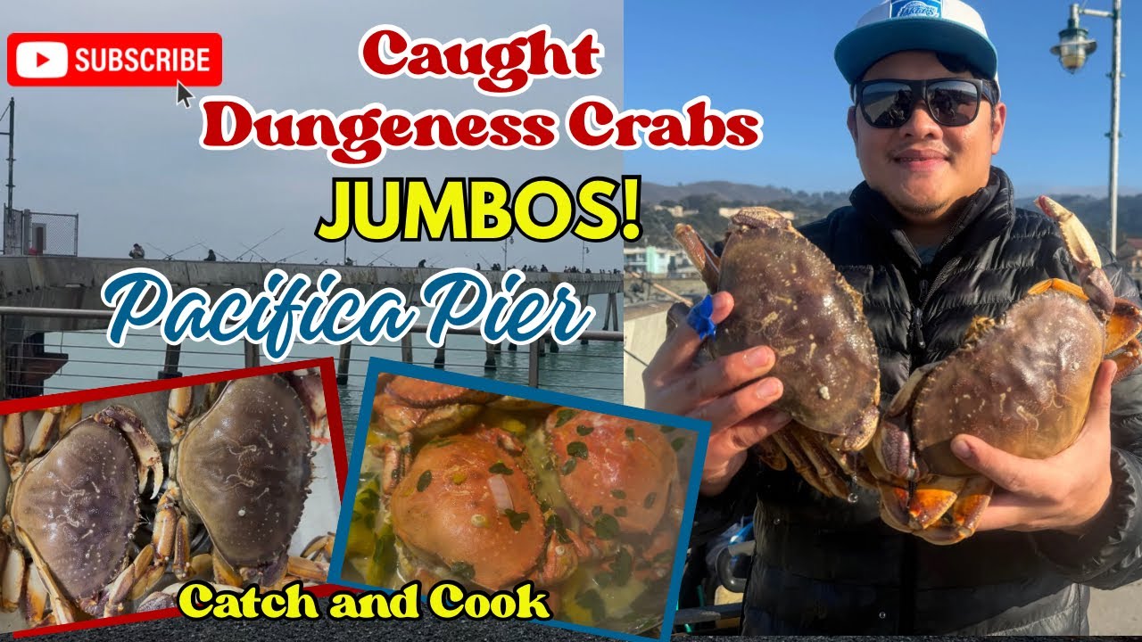 🦀Пойманы огромные крабы Dungeness на пирсе Пасифика | Поймай и приготовь
