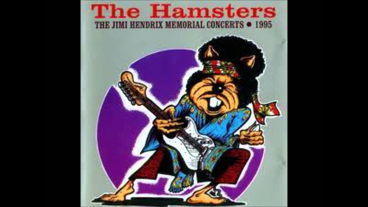 The Hamsters - 51st anniversary (Jimi Hendrix cover)