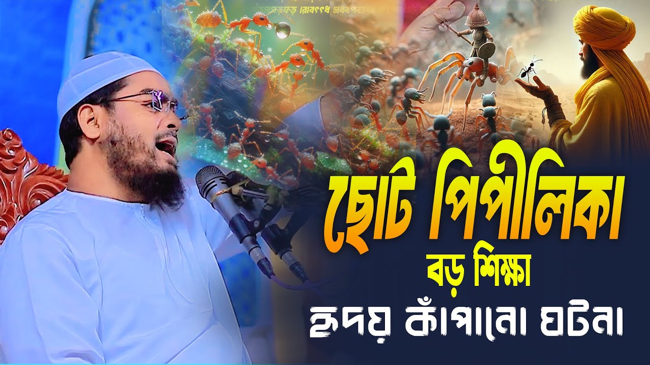 হযরত সুলাইমান (আঃ) ও পিপীলিকার ঘটনা | হৃদয় কাঁপানো বয়ান | হাফিজুর রহমান সিদ্দিকী কুয়াকাটা 2025