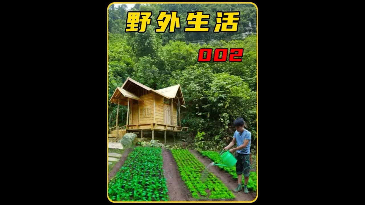 野外建造：男人徒手开垦良田种植果蔬，将荒地改造成世外桃源！ #野外建造 #荒野建造 #原始技术 #解压 #内容启发搜索