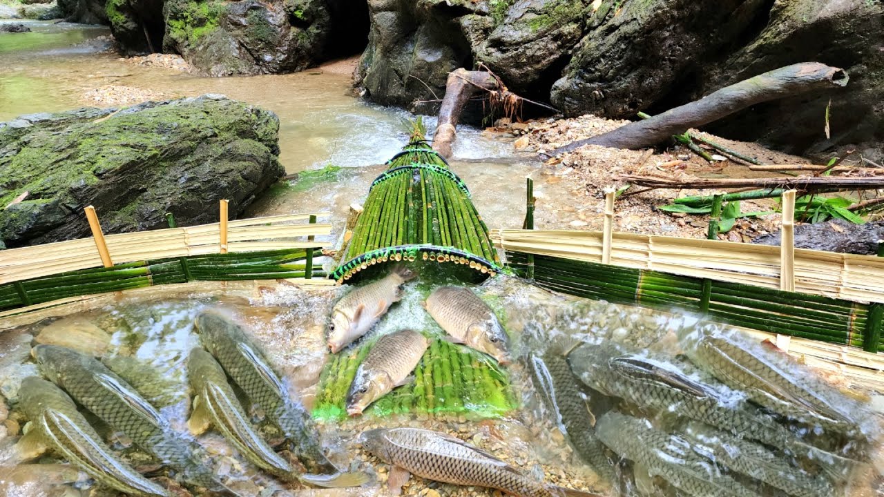 Full video of ancient fishing methods of mountain girl. Catch many big fish..