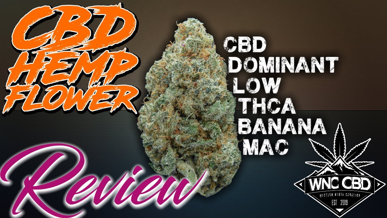 Finally, Some Low THCa BANANA MAC I Can Enjoy! WNC BMac & Bordeaux CBD Hemp Flower Review