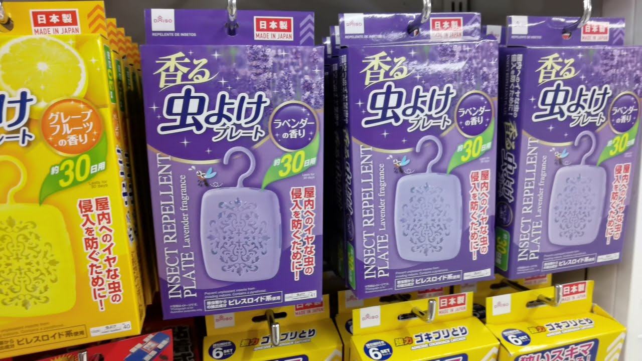How To Keep Birds Away DAISO Bird Deterrent