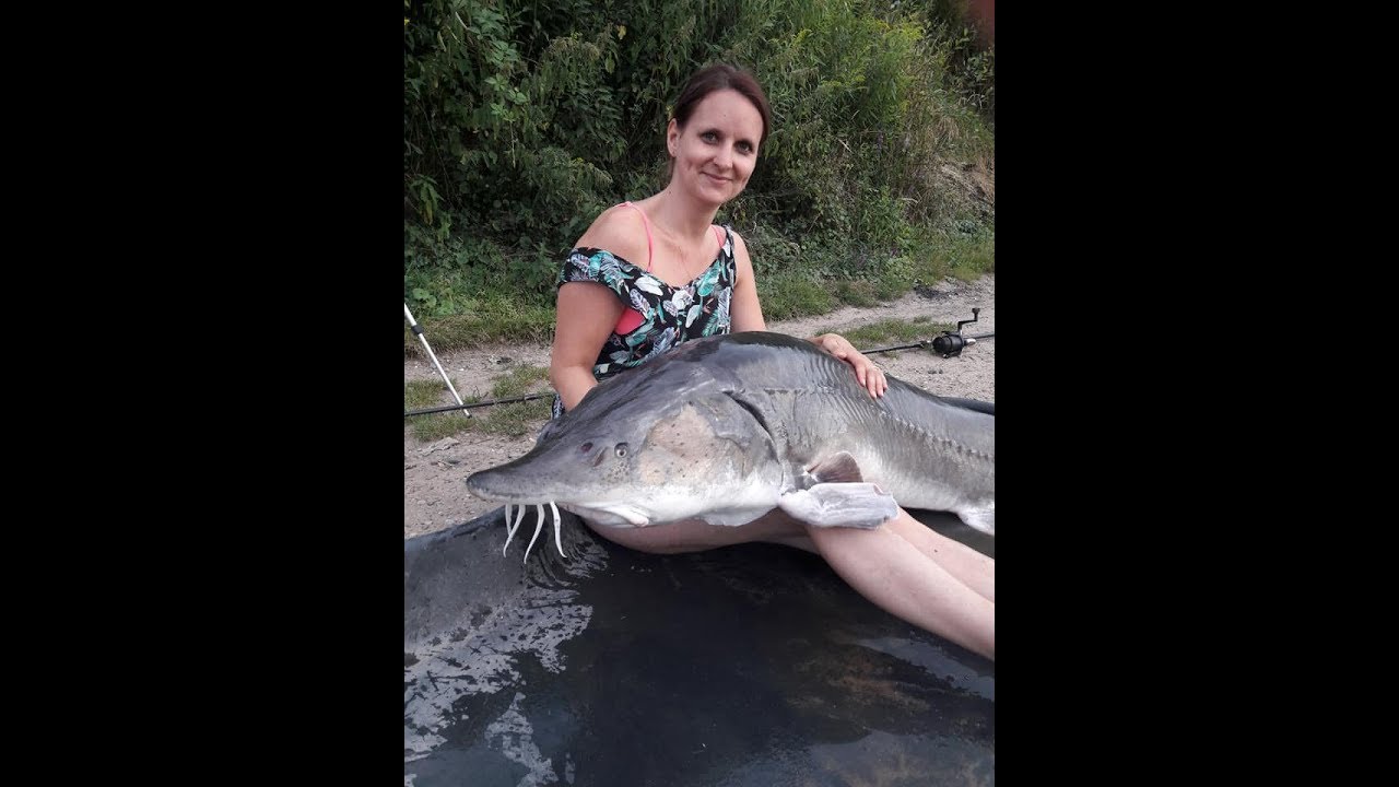 MA FEMME me met MINABLE, ESTURGEON de 60kg