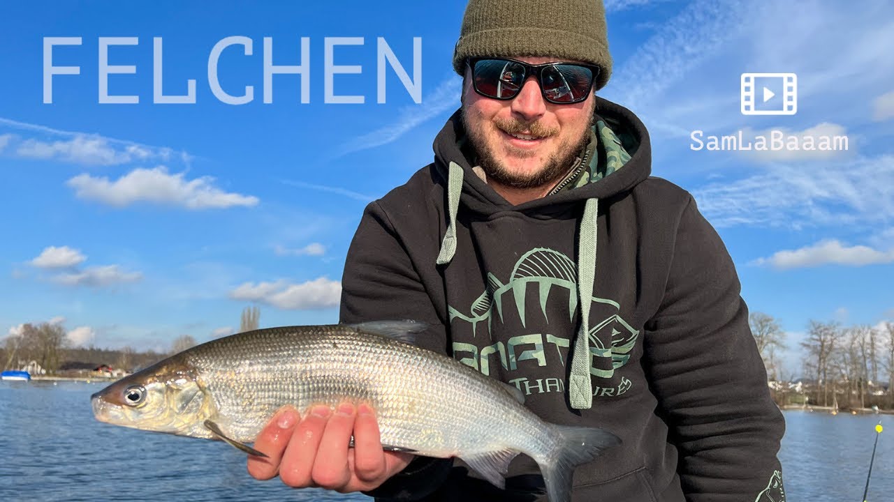 Renken Angeln mit Severin am Greifensee 😎🎣🇨🇭