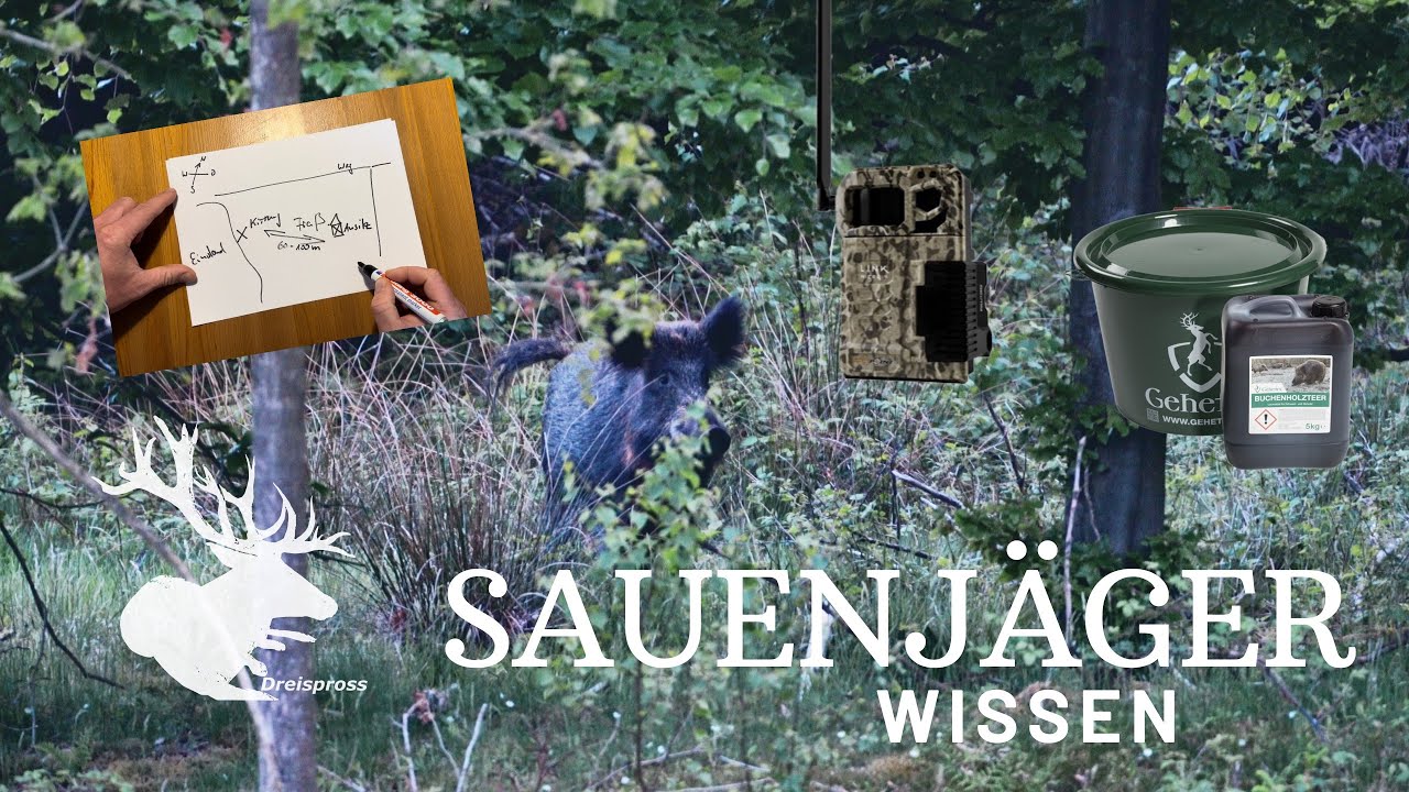 Wie locke ich Wildschweine? #Kirrung SAUENJ&Auml;GER |  HOD Free Episode
