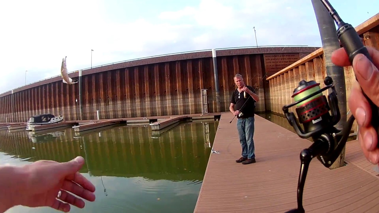 Snoekbaarzen met de spro freestyle microlure