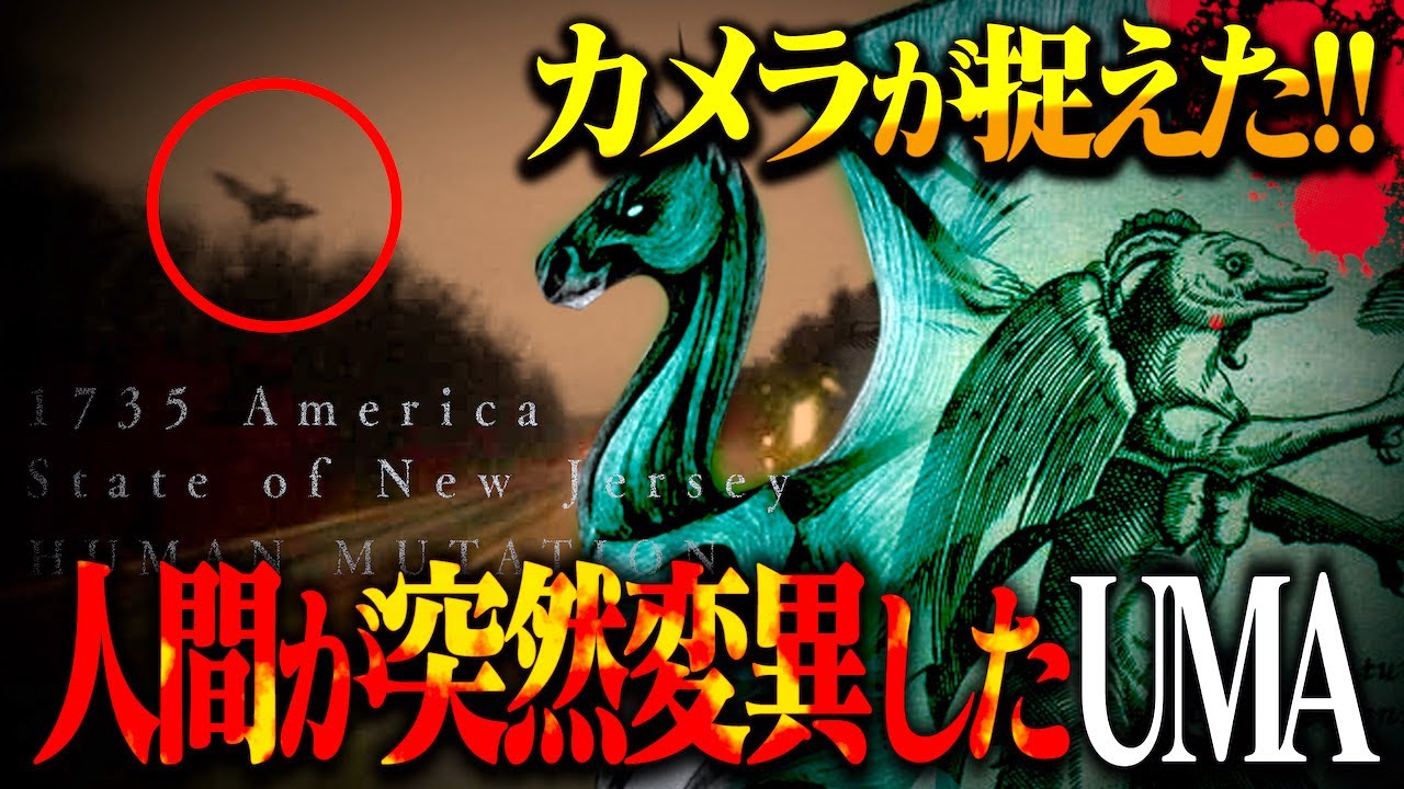 【実画像あり】母親の腕が突然変異し生まれたUMAの正体とは！？【 都市伝説 】