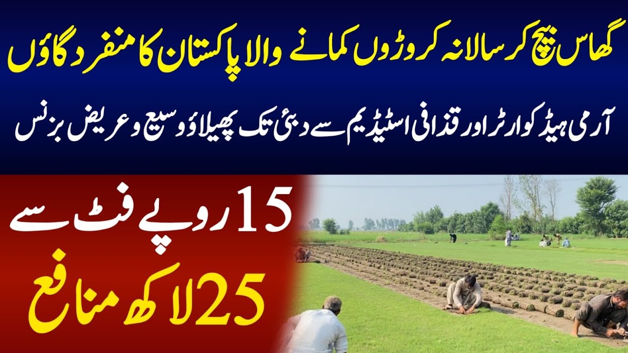 How To Run Artifical Grass Business In Pakistan