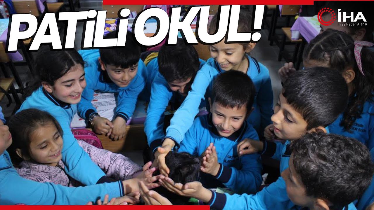 Bakıma Muhtaç Sokak Hayvanlarına Kucak Açtılar